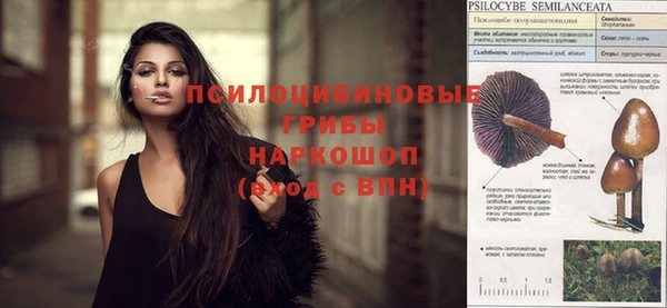 сатива Алексеевка