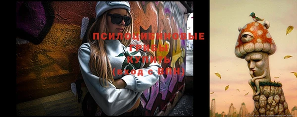 сатива Алексеевка