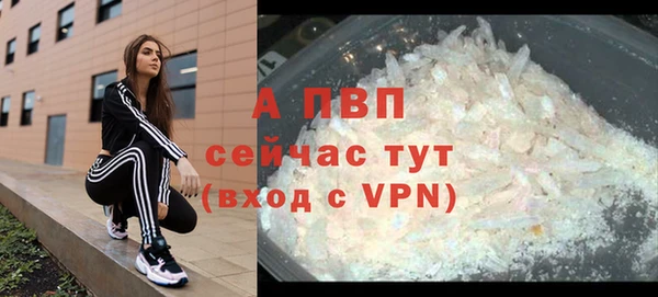 СК Арсеньев