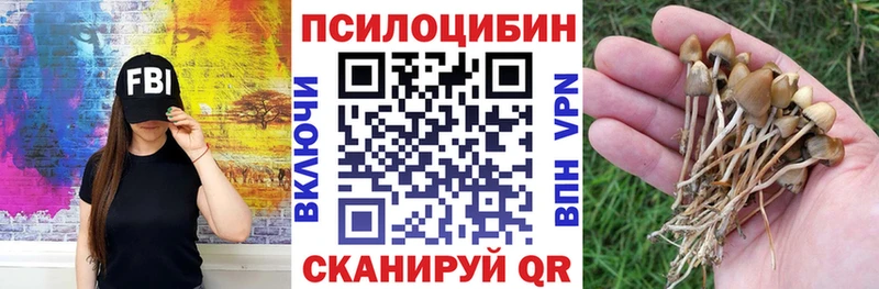Галлюциногенные грибы мухоморы  где купить наркотик  mega зеркало  Саров 