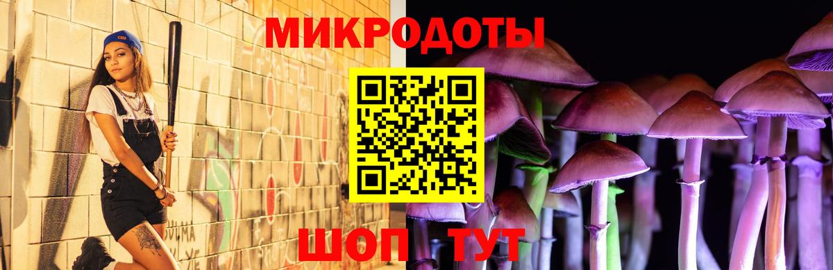 Галлюциногенные грибы Psilocybe  Вход с VPN  Саров  хочу   Псилоцибиновые грибы прущие грибы 
