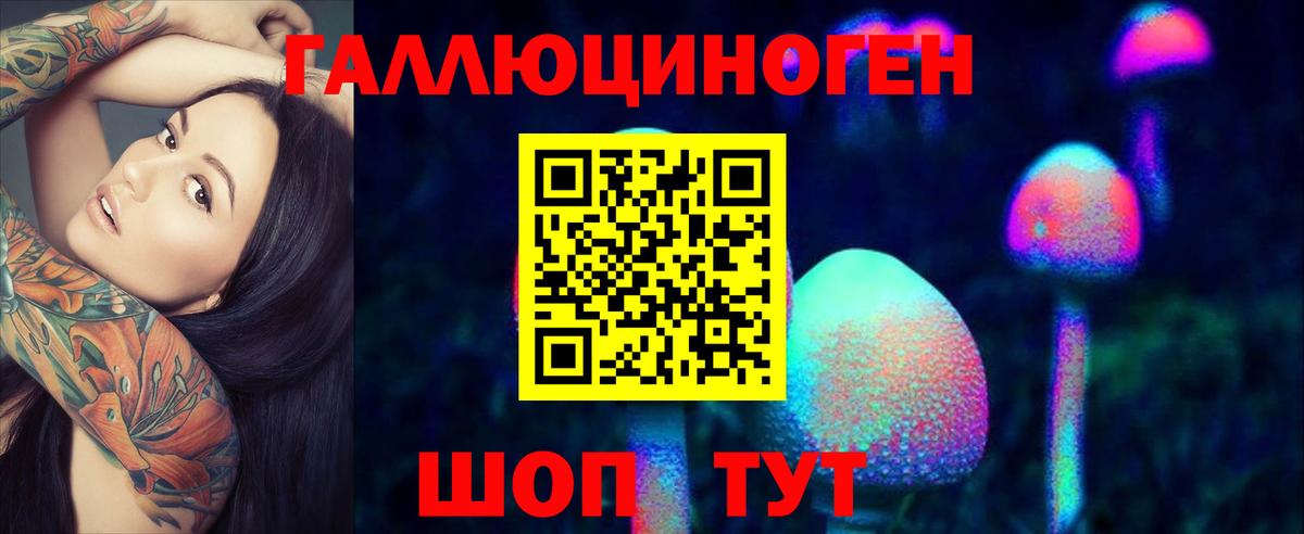 Псилоцибиновые грибы Psilocybine cubensis Саров